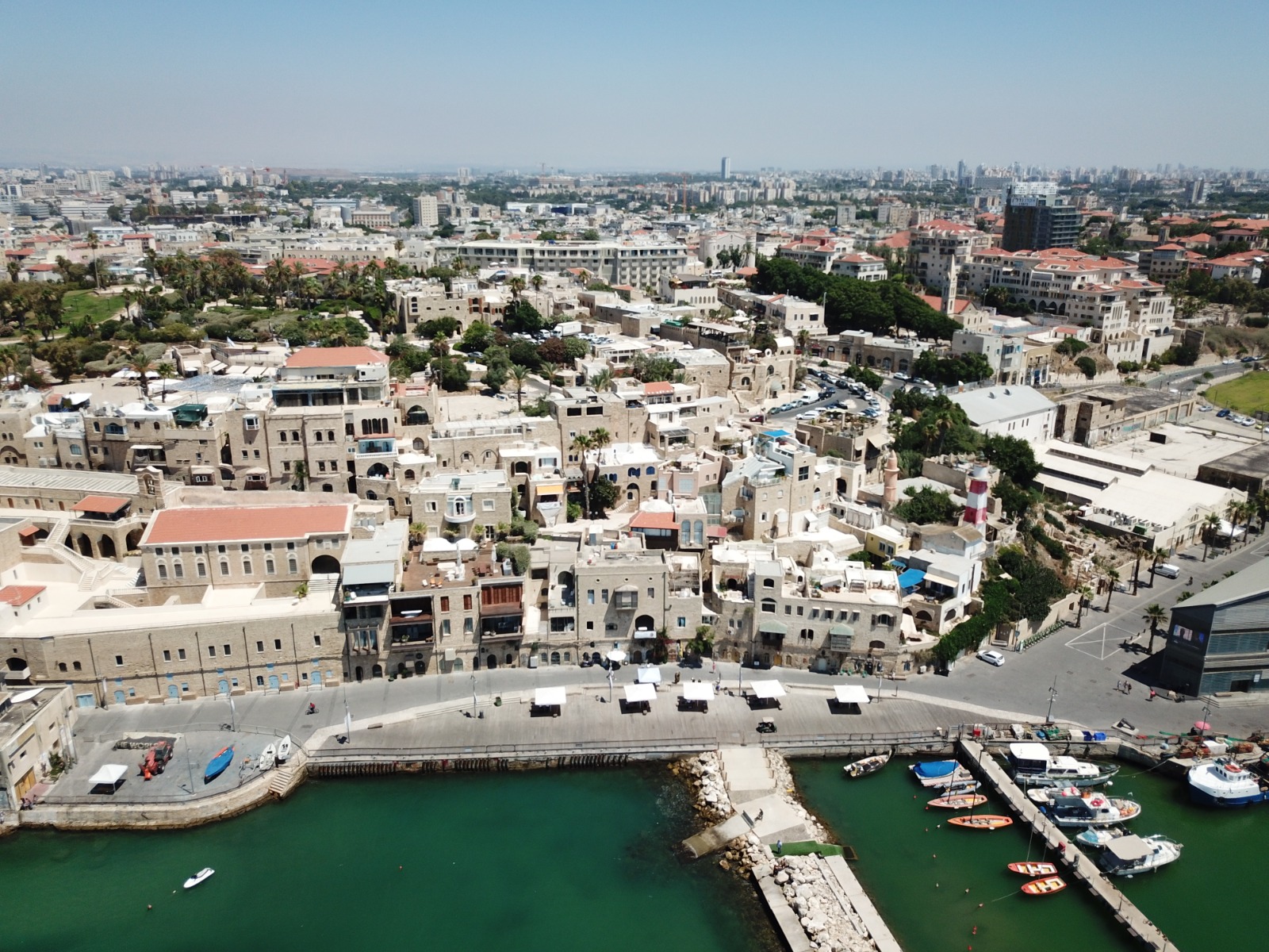 WhatsApp Image 2020-09-02 at 3.43.44 PM.jpeg.jpeg